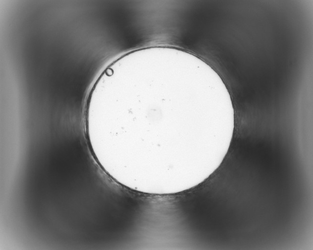 X0000103901148200809261544