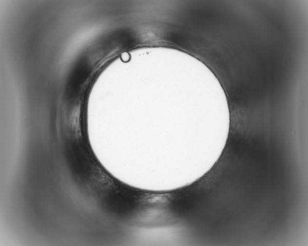 X0000103901150200809261544