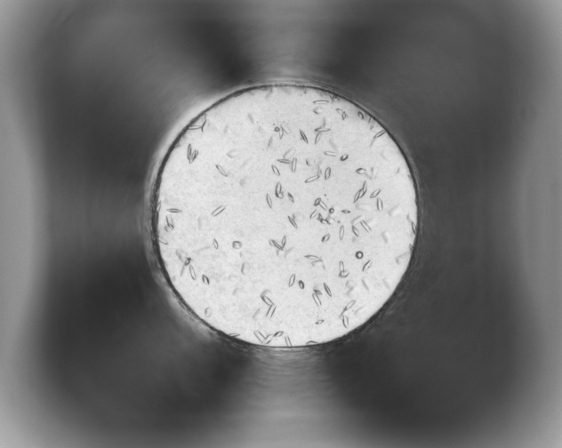 X0000103901152200809261544
