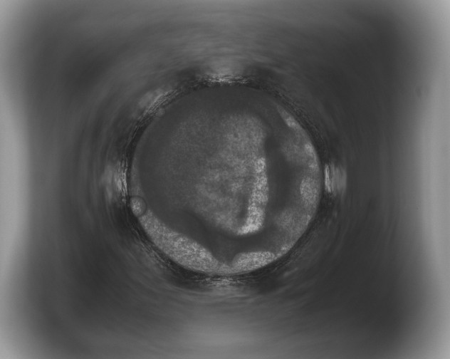 X0000103901155200809261544