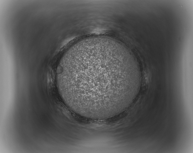 X0000103901158200809261544