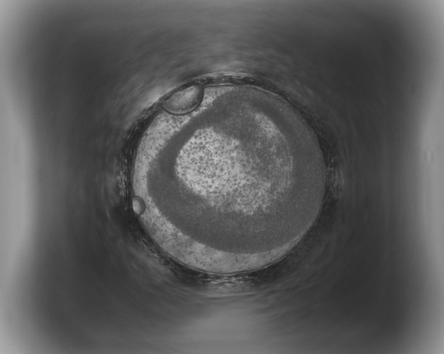 X0000103901159200809261544