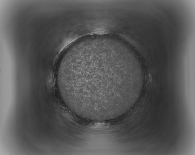 X0000103901160200809261544