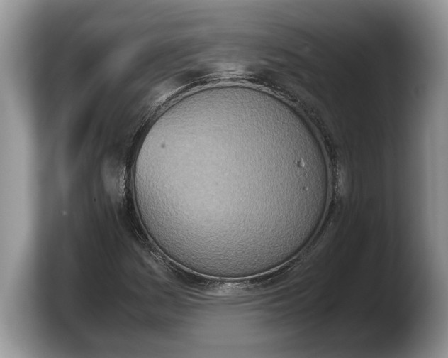 X0000103901161200809261544