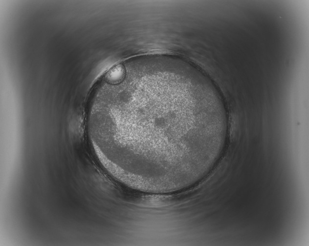 X0000103901163200809261544
