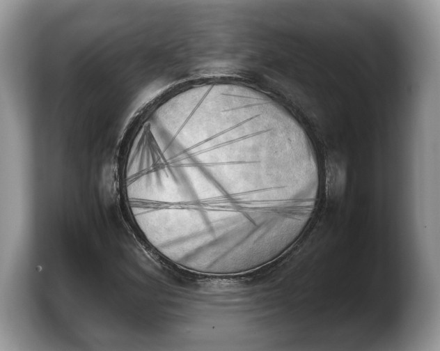 X0000103901164200809261544