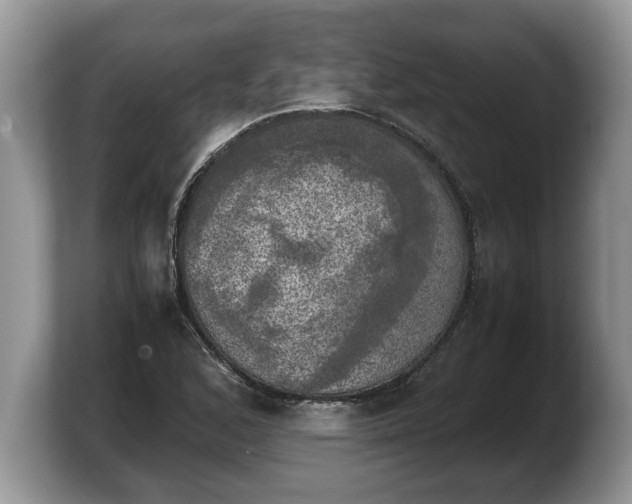 X0000103901168200809261543