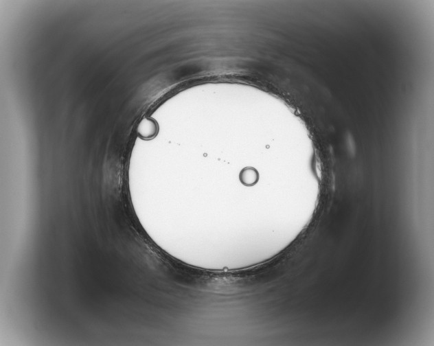 X0000103901169200809261543