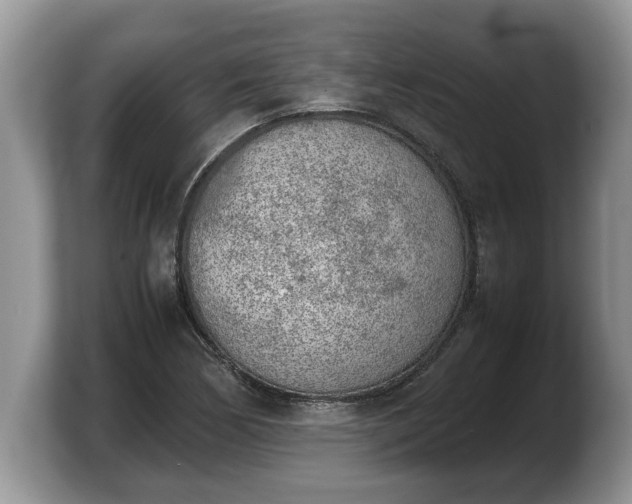 X0000103901170200809261543