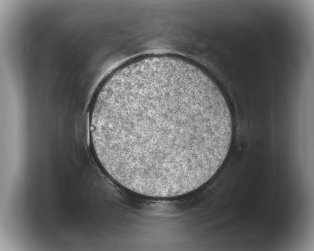 X0000103901175200809261543