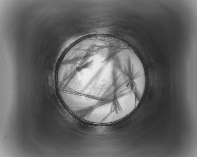 X0000103901176200809261543