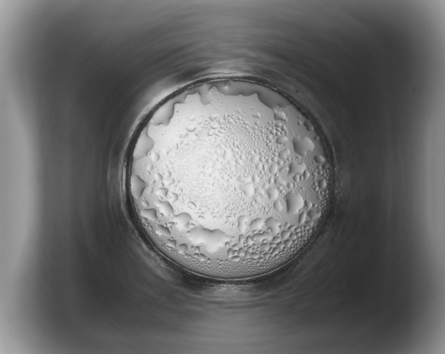 X0000103901179200809261543