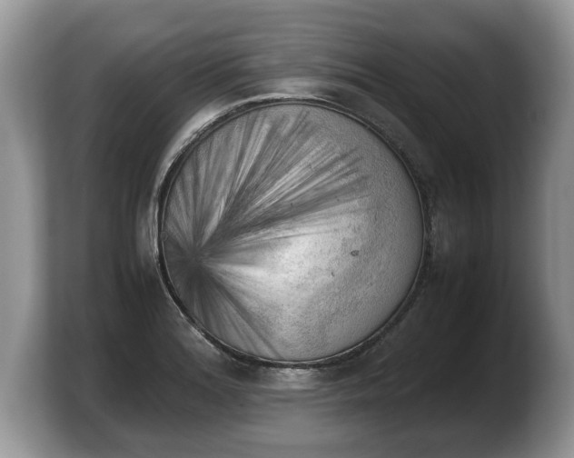 X0000103901180200809261543