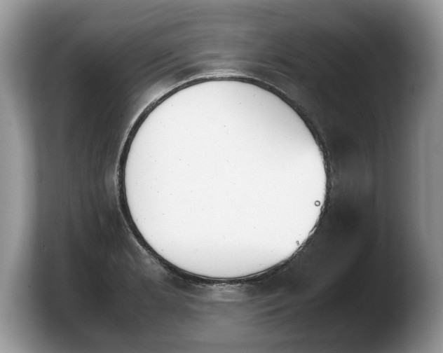 X0000103901181200809261543