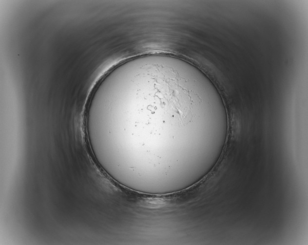 X0000103901182200809261543
