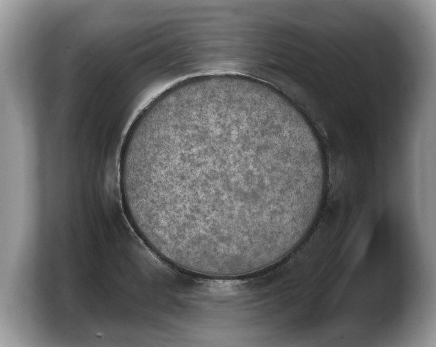 X0000103901184200809261543