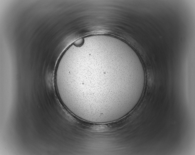 X0000103901186200809261543