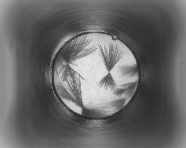 X0000103901188200809261543