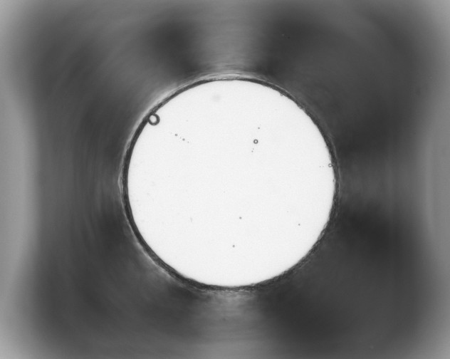 X0000103901189200809261543