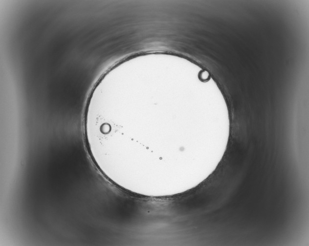 X0000103901191200809261543
