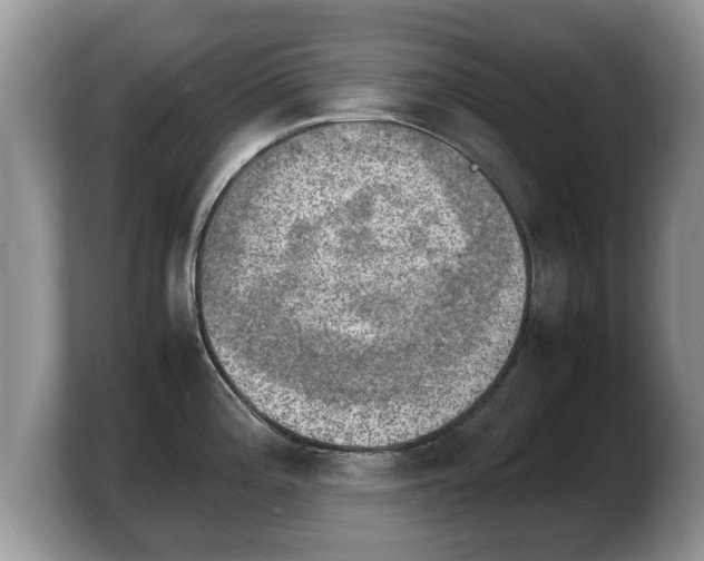 X0000103901196200809261543
