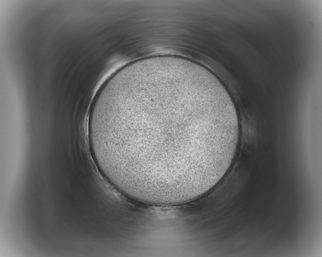 X0000103901198200809261543