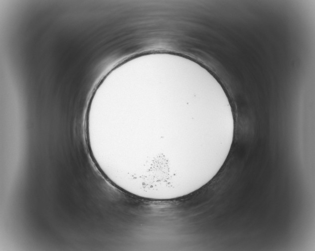 X0000103901199200809261543