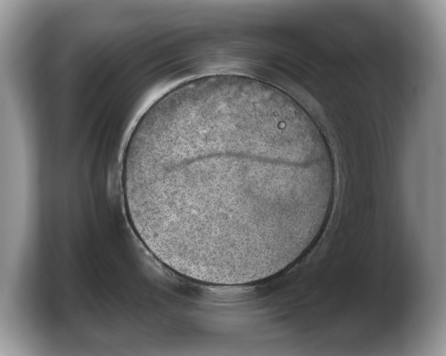 X0000103901200200809261543