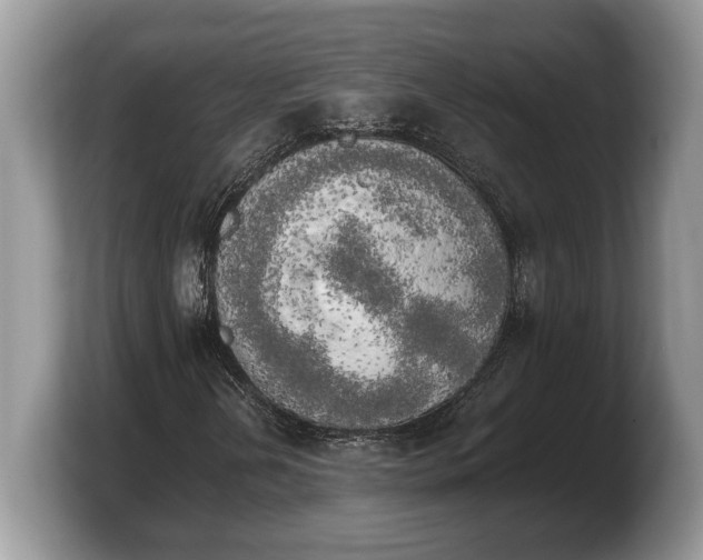 X0000103901202200809261542