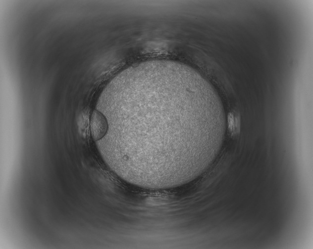 X0000103901203200809261542