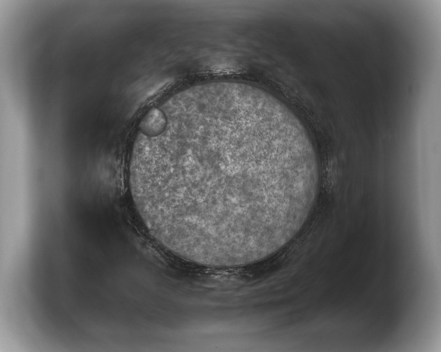 X0000103901205200809261542