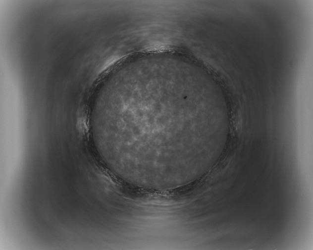 X0000103901206200809261542