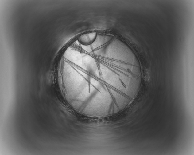 X0000103901208200809261543