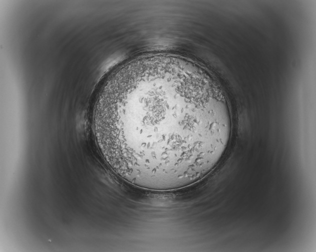 X0000103901210200809261543