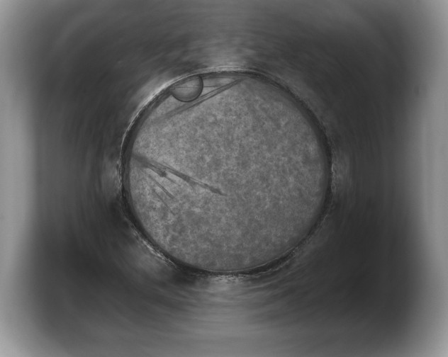 X0000103901212200809261543