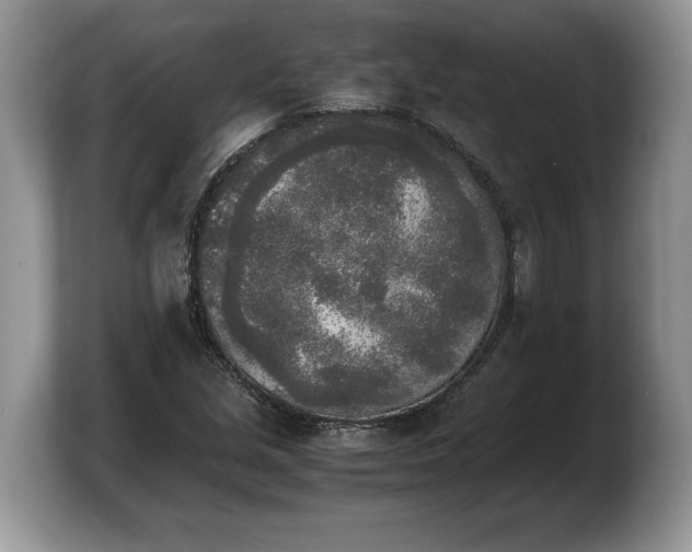 X0000103901213200809261543