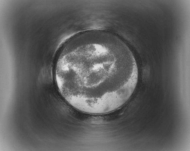 X0000103901214200809261543
