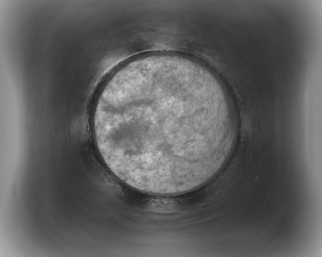 X0000103901215200809261543