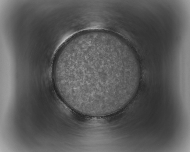 X0000103901216200809261543