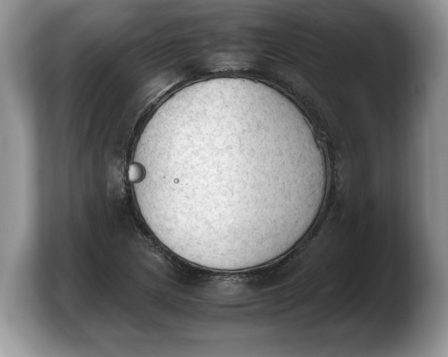 X0000103901217200809261543