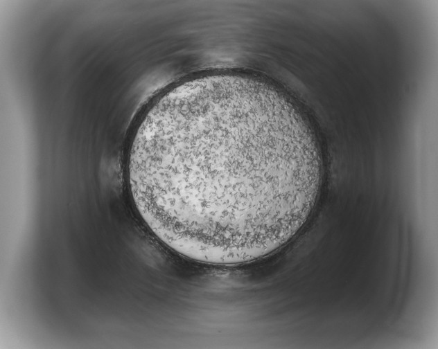 X0000103901218200809261543