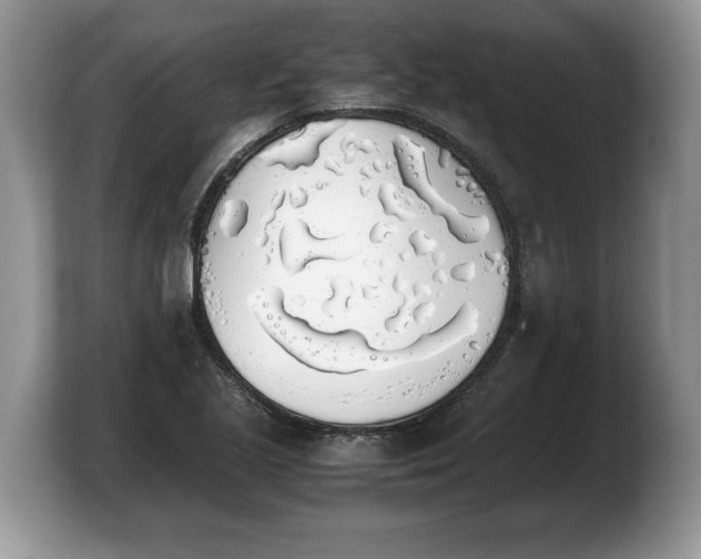 X0000103901221200809261543