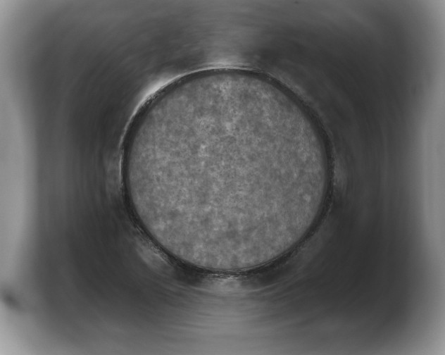 X0000103901222200809261543