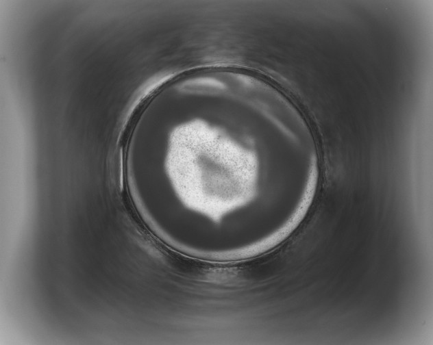 X0000103901223200809261543