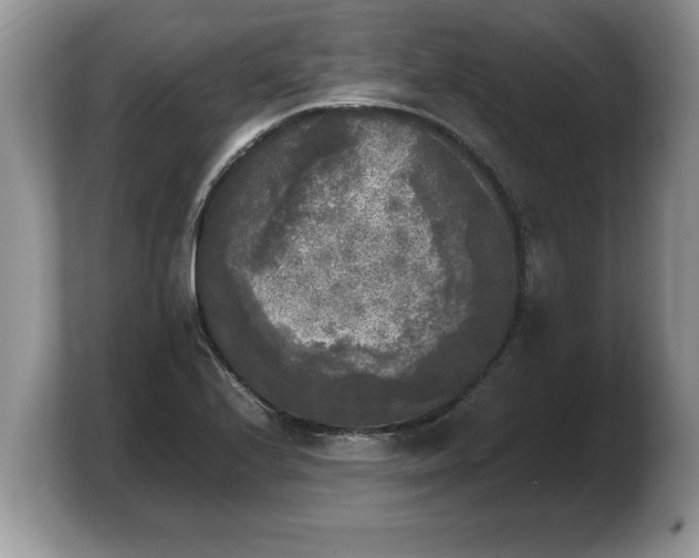 X0000103901224200809261543