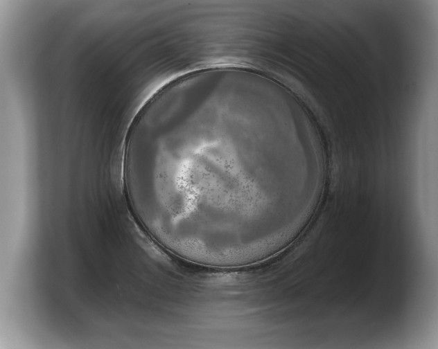 X0000103901228200809261543