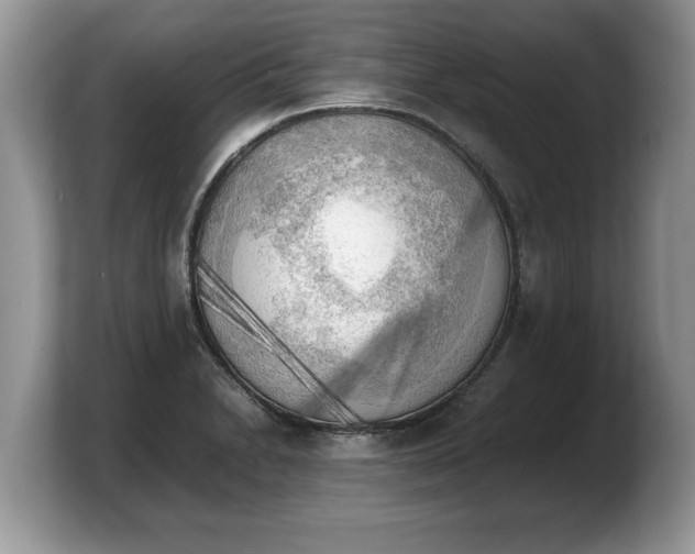 X0000103901230200809261543