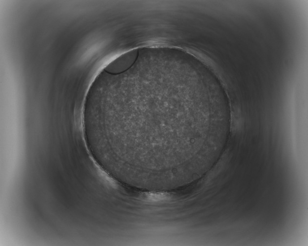 X0000103901231200809261543