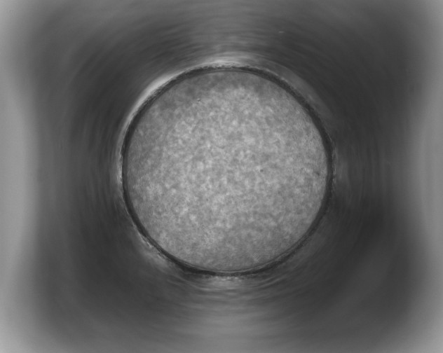 X0000103901232200809261543