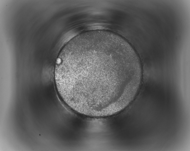 X0000103901233200809261543